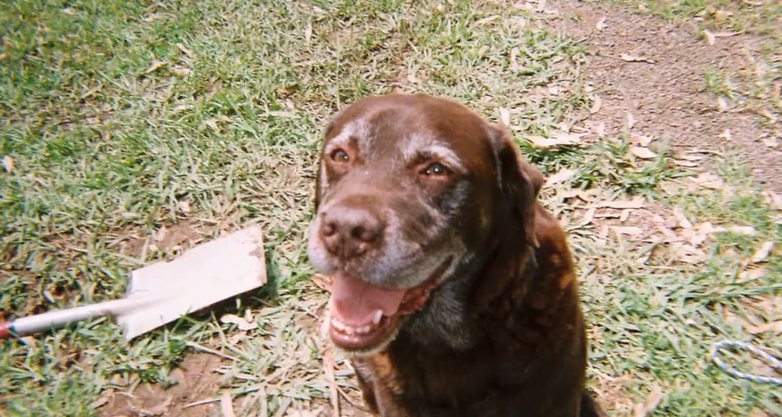 Baxter